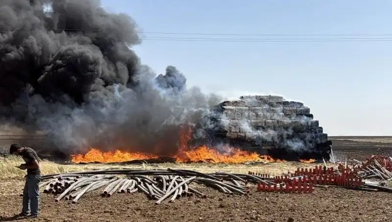 Mardin'de Anız Yangınları, Tarım Üzerindeki Etkileriyle Endişe Yarattı