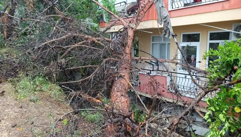 Yağmurun Gücü: Bina Çöktü, Şehirde Panik Yarattı!