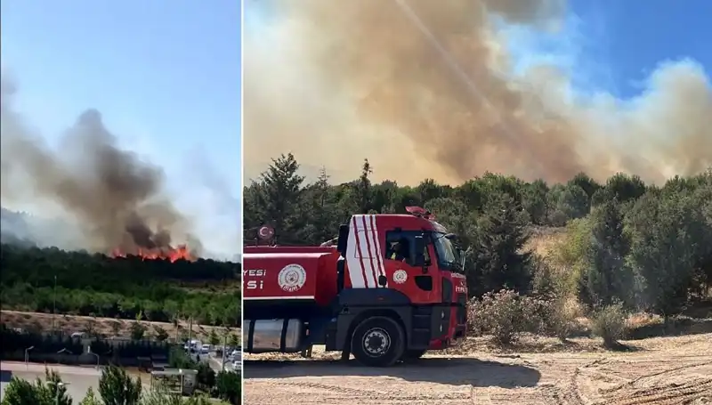 Gebze'deki Orman Yangını: Canlı Yayın ve Son Gelişmeler