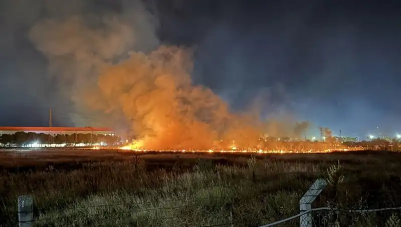 İzmir'de Gece Yarısı Yangın Paniği: Olayın Detayları ve Son Gelişmeler