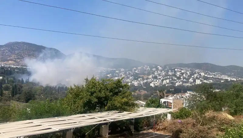 Muğla Orman Yangınları Kontrol Altına Alındı: Doğal Hayat Yeniden Canlanıyor
