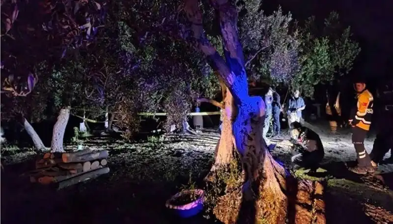 Çiftlikte Baltalı Vahşete İlk Tutuklama: Olayın Ardındaki Gerçekler Neler?