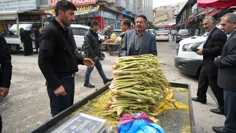 Naif Doğanın Şifası: Dağlık Alanlardan Toplanan Şekerin Faydaları