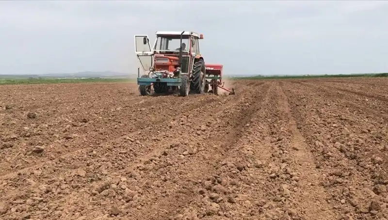 Son 35 Yılın Kurak Mart Ayı: Yağış Miktarı Yüzde 59 Düştü!