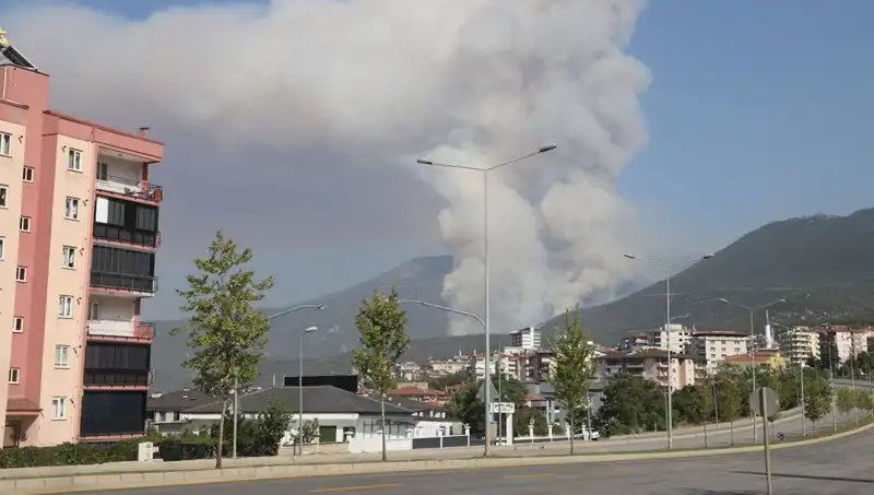 Denizli'de Korkutan Orman Yangını: Bir Şüpheli Gözaltında