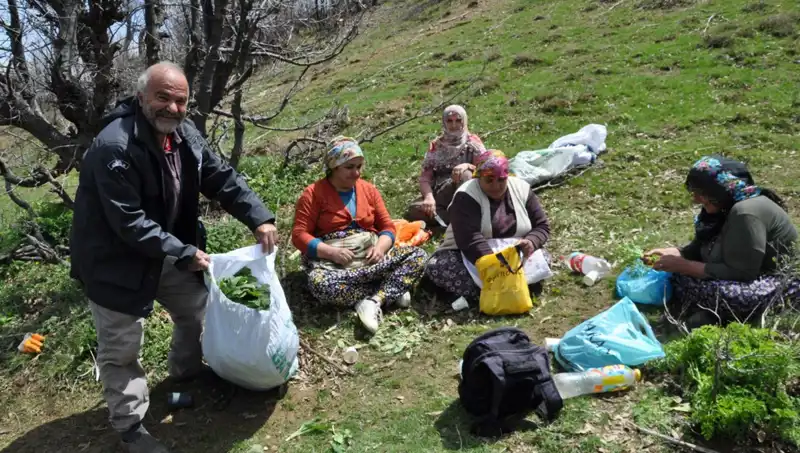 Yürüyerek Topladıkları Mantar, Ailelerin Geçim Kaynağı Oluyor