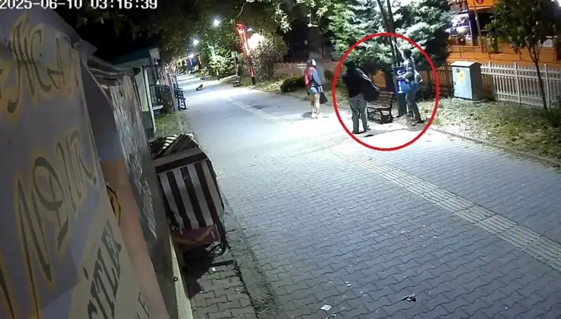 Aydınlatma Direklerinden LED Işıkları Sökerek Şehir İhtiyaçlarına Zarar Verdi