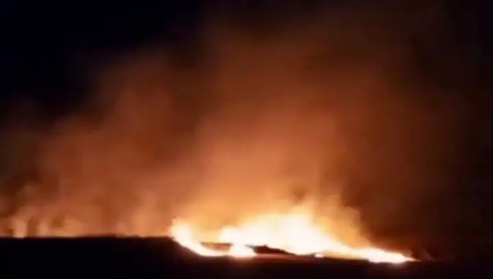 Tekirdağ'da 20 Dekar Buğday Alanı Yangında Küllere Döndü